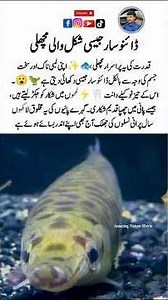 Meet the Gar Fish 🐟⚔️ – The Living Dinosaur of Freshwater!#AmazingNatureShorts #Wildlife #Shorts