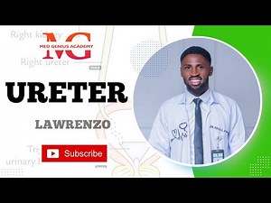 Gross Anatomy of the Ureter |Course, Relations, Constrictions,Clinical Relevance (Anatomy Made Easy)