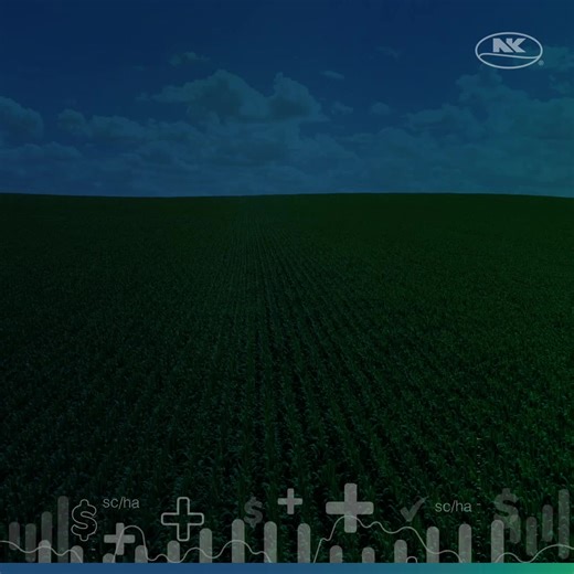 37K views · 17 reactions | Essa dica é de quem é parceira: obtenha mais rentabilidade na sua lavoura utilizando as boas práticas agronômicas a seu favor! Marque um amigo agricultor que precisa ver este conteúdo.  #SementesNK #Agronegócio #Rentabilidade #Genética #Tecnologia #BoasPráticasAgronômicas | NK Seeds BR | Facebook