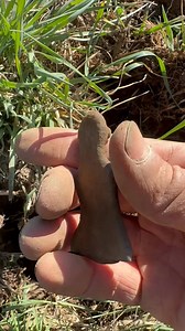 What do you think this is mate? | GOLD-COIN & RELICS AUSTRALIA