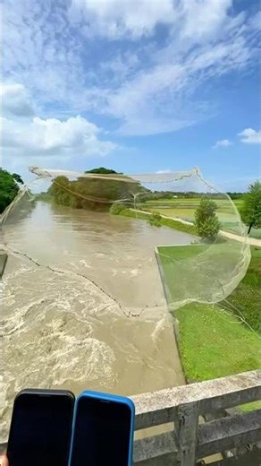 how to catch a catfish in fisch #cast #fishing #net