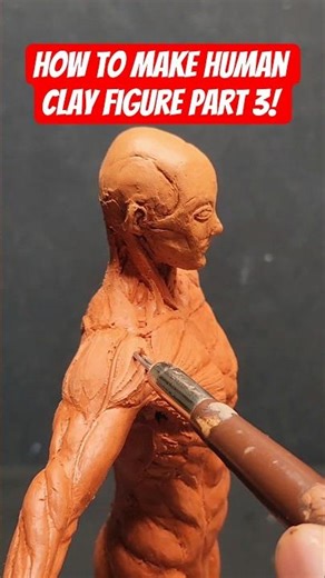 how to make human clay figure #anatomyart #anatomyillustration #anatomy #clay #claymodel #sculpture
