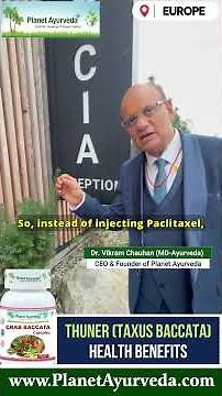 European Yew / Thuner (Taxus Baccata) Health Benefits & Importance in Vedas by Dr. Vikram Chauhan