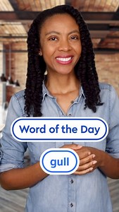 12K views · 49 reactions | How do you prevent yourself from falling for computer scams that gull you into giving out sensitive information? ️ To gull someone means to deceive or trick them—this word may even be the root of "gullible," meaning "easily deceived." Can you use this #WordOfTheDay in a sentence? | Dictionary.com | Facebook