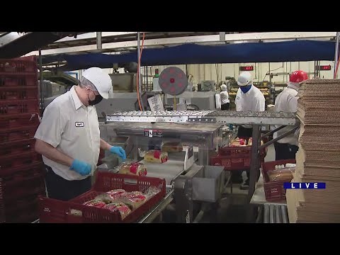 Around Town - Alpha Baking Co.