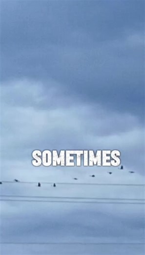 15 reactions · 14 comments | I watched these geese fly all morning,...