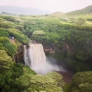 1.7M views · 176K reactions | Raging Wailua Falls ❤ @kauaikevin | Hawaiian Islands | Facebook