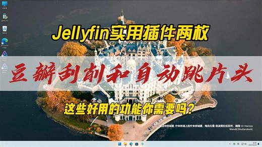 Jellyfin实用插件两枚，这些好用的功能你需要吗？使用Metashark实现豆瓣电影刮削演员中文信息，使用intro-skipper自动跳过电视剧片头。