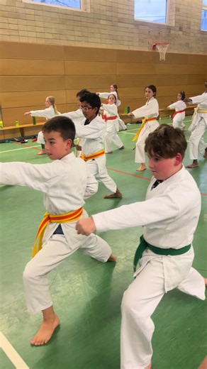 KIKO Karate Dojo Hannover: Spaß am Shotokan-Karate
