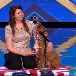 68K views · 1K reactions | This Singing Dog Makes Alesha Dixon Howl With Laughter! | Top Talent | Facebook