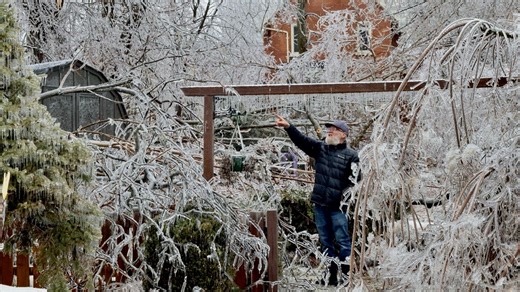 Watch: Frozen trees snap in Ontario ice storm