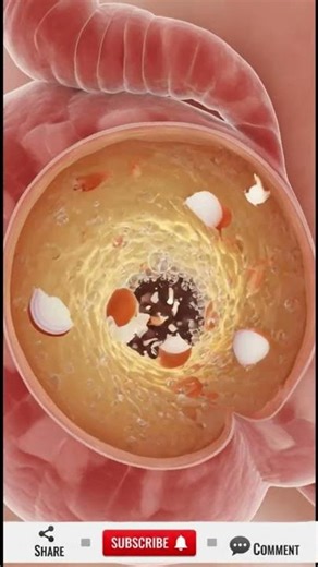 What Happens When You Eat an Onion? | 3D Medical Animation #3danimation