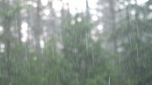 Royalty Free Stock Heavy Rainfall Video Footage Clip - Vidsplay.com