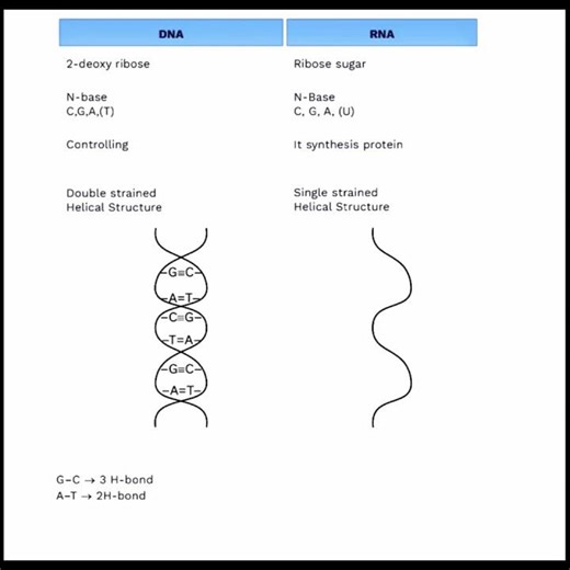 Basics difference between DNA and RNA #education #neet #jee #organicchemistry
