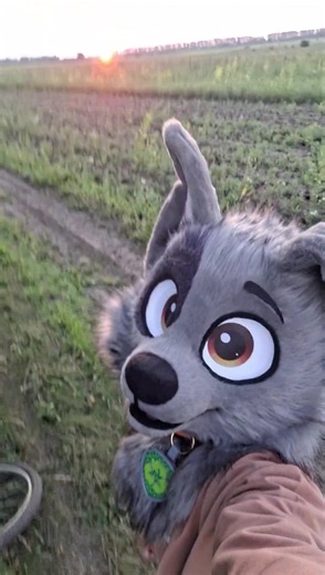 Today I rode around the fields in a Rocky costume 💚 #rockypawpatrol #rockypaw #furrycomission #fursuiter #fypシ゚viral #furry #furryart #furryfandom #furrytiktok #cousplay #fursona #fursuitmaker #dogdaycosplay #dogdaycaresoftiktok