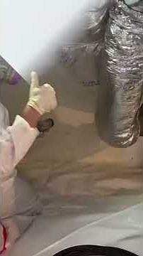 Installing Spray Foam Insulation on Crawl Space Walls