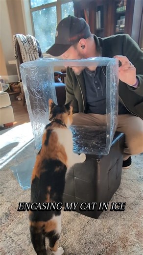 What should I call this? Putting your cat on ice? Cryogenically preserving your cat? Frozen kitty? This was from a retail display we designed over 15 years ago that I dug up while cleaning out our garage. I really miss making these and I'm sorry that more companies don't put this kind of care (and durability) into their designs anymore. #frozen #cat #ice #display #curious | Neal Bauer