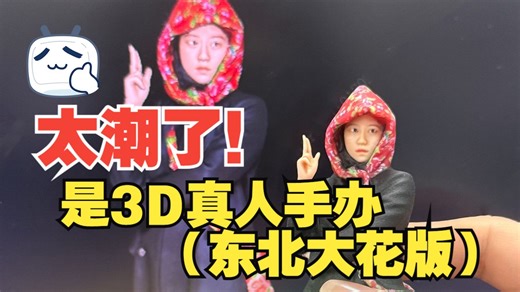 太潮了，是东北大花！Sailner赛纳全彩3D打印真人手办