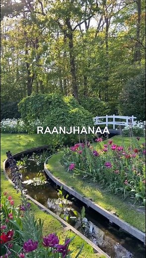 Raanjhanaa ❤️ | Soulful Bollywood Classic | A.R. Rahman | Dhanush | Sonam Kapoor
