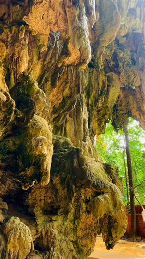 Avital Magen on Reels