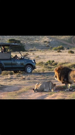 🌍 South Africa: Cape Town, Wildlife & the Garden Route 8 Nights from £1,999pp Discover South Africa’s most breathtaking highlights in one unforgettable journey — from Cape Town’s charm and coastal beauty to the wild heart of the Garden Route. ✨ Trip Highlights 🏞️ Fully guided small-group tour with expert local guides ⛰️ Table Mountain, V&A Waterfront & colourful Bo-Kaap 🍷 Dinner at the Heritage Restaurant – authentic South African flavours 🦩 Cango Caves & Ostrich Farm adventures 🌳 Knysna la