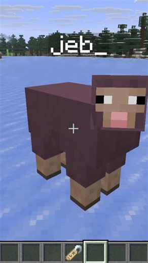 Did you know these Minecraft Easter Eggs?!? #minecraft #minecrafttutorial #gaming #shorts