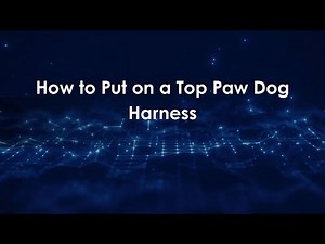 How to Put on a Top Paw Dog Harness