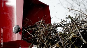 Wood Chipper Machine shredding pruning remains. Crushed tree branches fall on pile. Compost preparation from wood chips. Organic fertilizer for environmental protection and ecology gardening