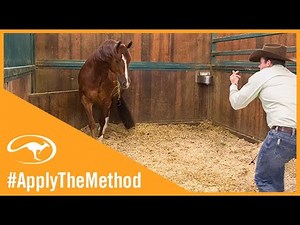 Training Tip: Working on Respect While Cleaning Your Horse's Stall