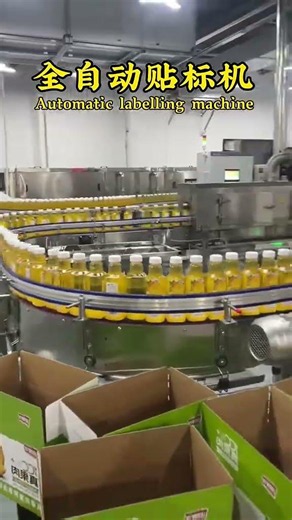 Automatic Labelling Machine | Bottle Label Applicator | BottleBlowTech