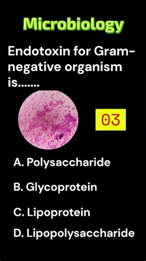 Endotoxin #Microbiology #Bacteria #MedicalMicrobiology #Immunology #USMLE #university #Shorts