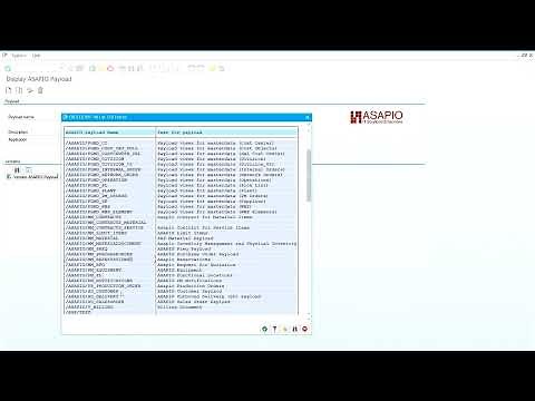 How to use ASAPIO Payload Designer in ECC or S/4HANA