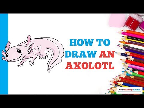 How to Draw an Axolotl in a Few Easy Steps: Drawing Tutorial for Beginner Artists