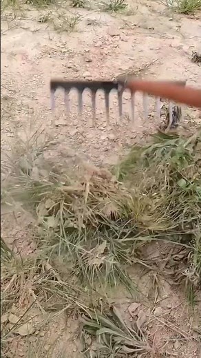 ​🌱🚜 Heavy-Duty Steel Garden Rake | Ultimate Soil Leveling & Debris Clearing Hack