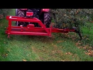 Cider Apple Tree Shaking https://www.facebook.com/lenevansandson