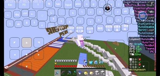 [fdp client]使用fdp绕过grim的up telly