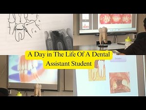 A Day in the Life of a Dental Assistant Student | Tooth Decay, Odontogram & Oral Hygiene Tips