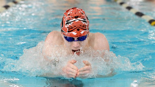 See Springfield-area's top boys swimmers and divers ahead of sectionals