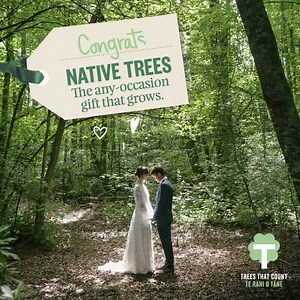 Send a $10 native tree gift | Trees That Count