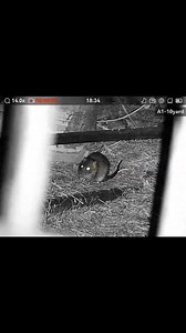 615K views · 9.8K reactions | Out on the farm tonight using night...