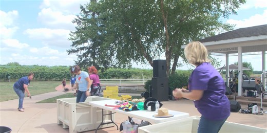 Grape stomping good times in Mackinaw