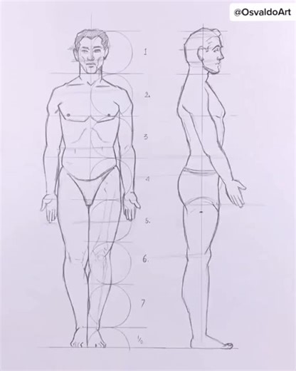 Cómo dibujar el cuerpo humano de manera realista