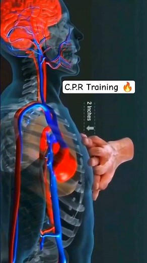 🫀C.P.R Process #trending #viral #cpr#heart #emergency #firstaid#shorts #ytshorts #medical#education