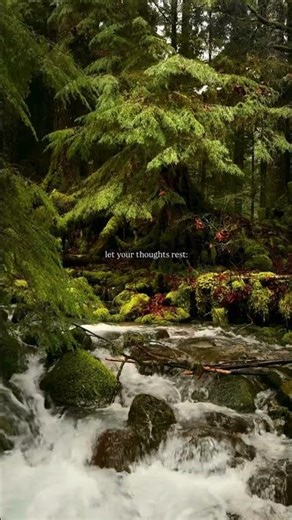 Relax your mind with nature #shorts