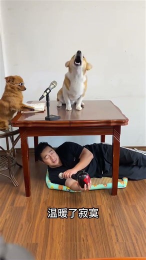 Human-Dog Singing Collab | My dog is the real singer 🐶🎶#funny #cute #duet #animals #dog #pets