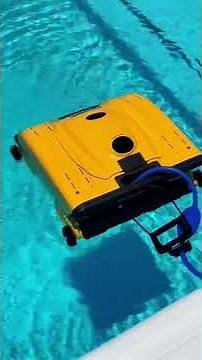 DOLPHIN Wave 100 Commercial Robotic Pool Cleaner Review