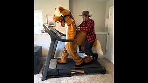 If people rode horses instead of walked. | Daniel LaBelle