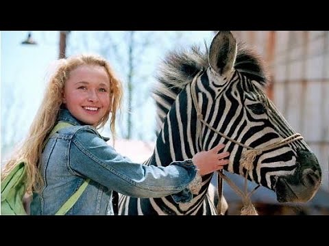 Racing Stripes Full Movie Facts And Review | Bruce Greenwood | Hayden Panettiere