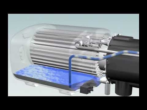 Dual Top Diagnostic Tips