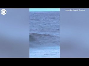 Shark Chases Two Surfers On Puerto Rico Beach, Close Encounter Caught On Camera [Watch]